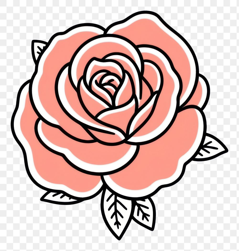 PNG Rose flower drawing sketch plant.