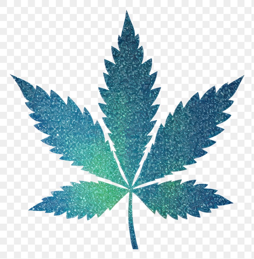 PNG Blue green gradient Marijuana leave icon plant leaf white background.