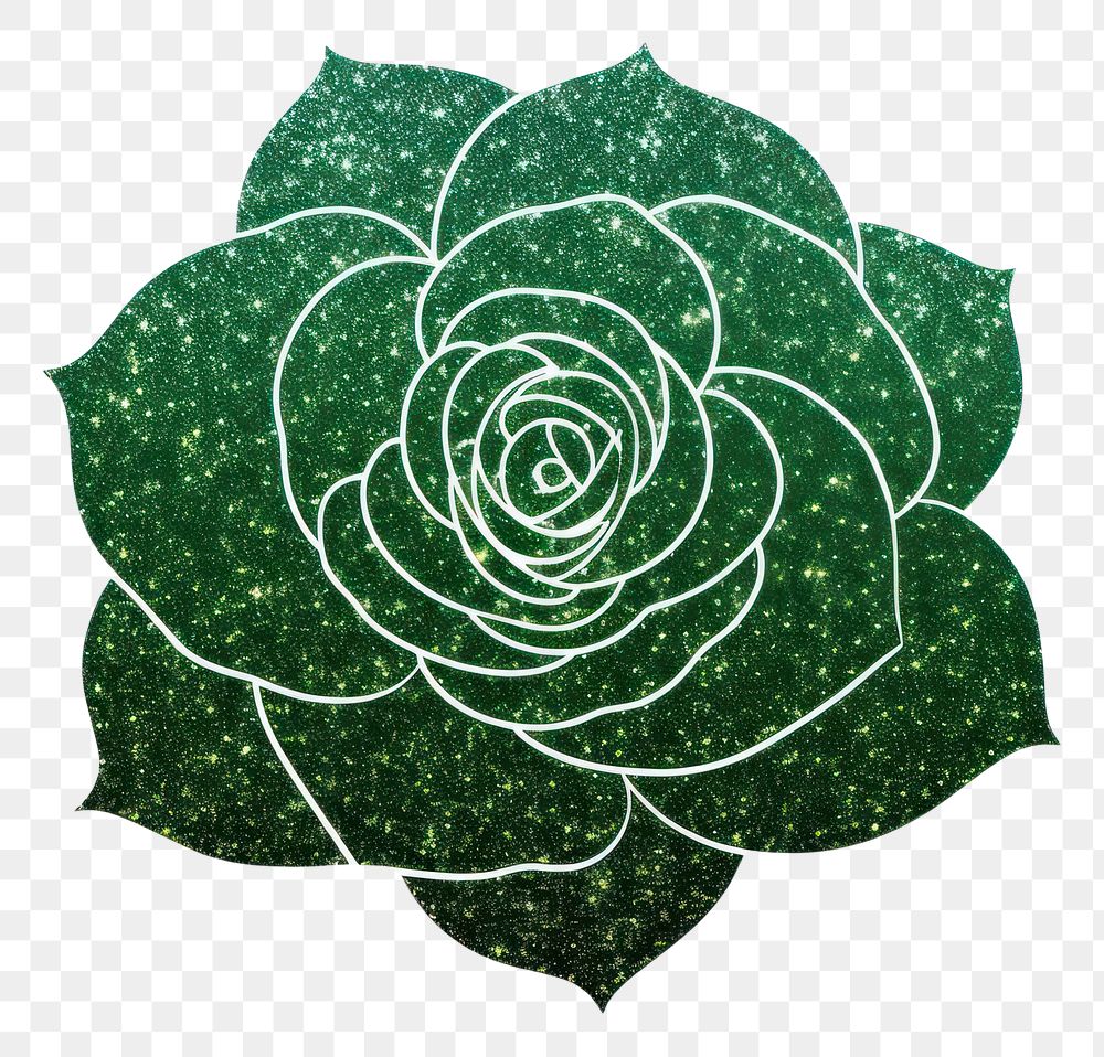 PNG Green rose icon flower plant leaf.