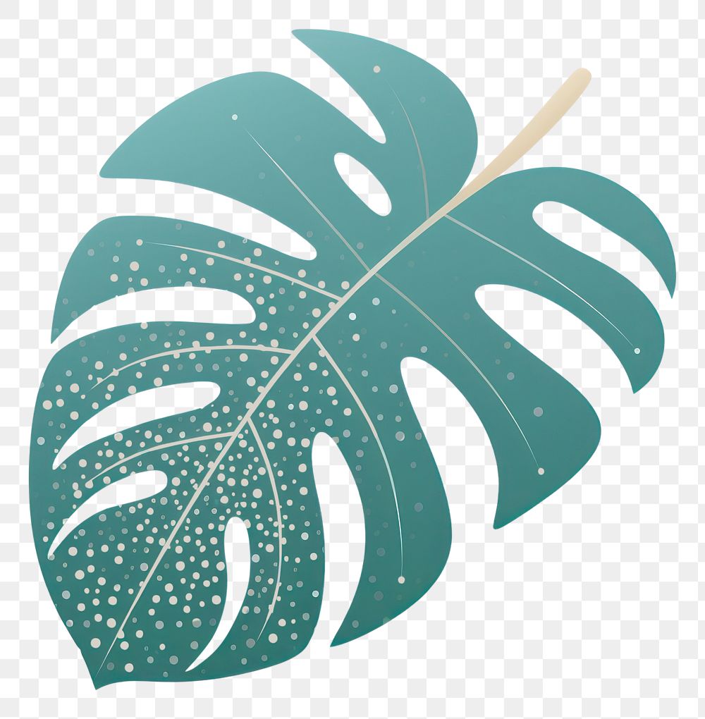 PNG Monstera icon plant leaf white background.