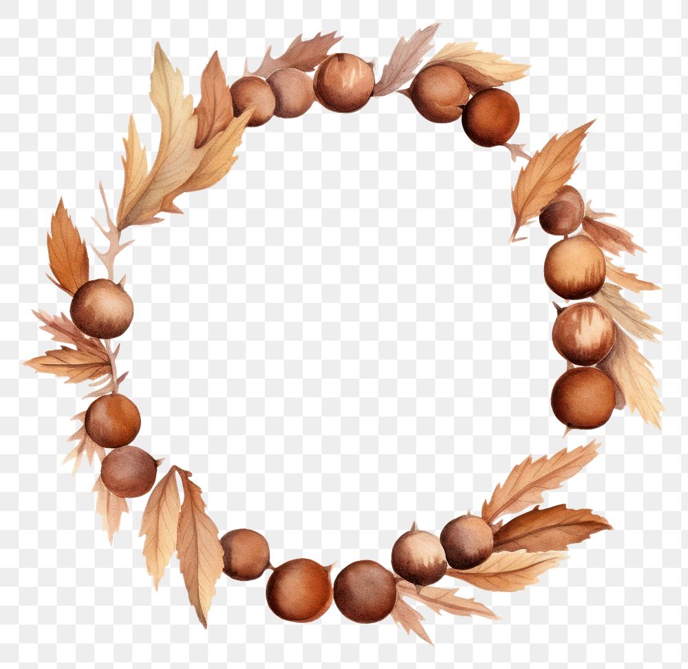 PNG Chestnut border watercolor wreath plant white background.