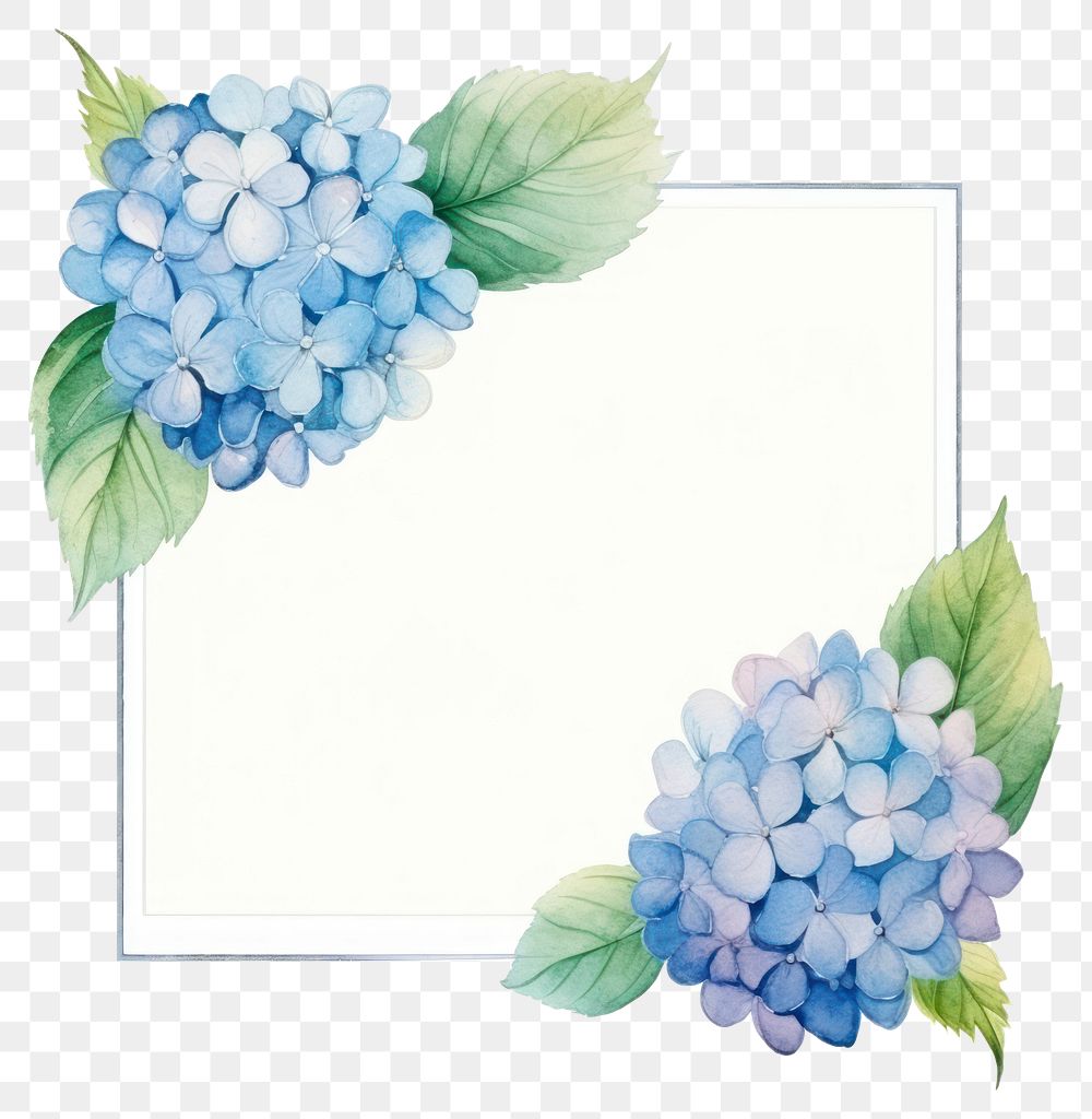 PNG Hydrangea frame watercolor flower plant paper.