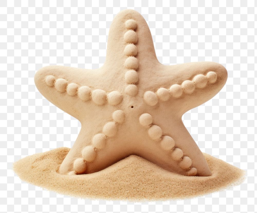 PNG Sand sculpture of starfish cookie beach food.