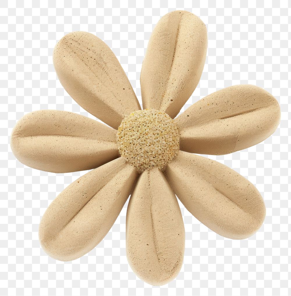 PNG Flower confectionery simplicity asteraceae.