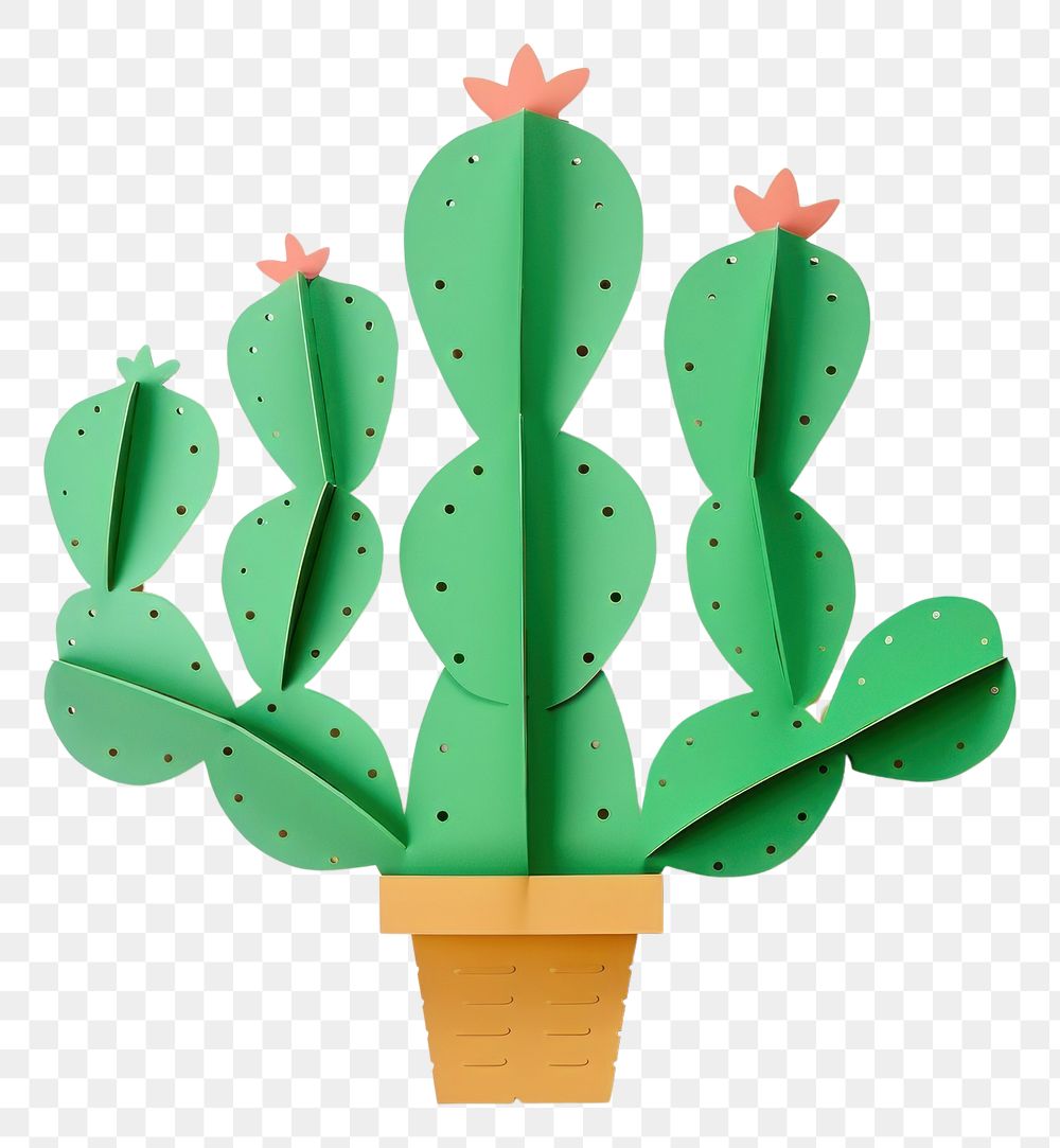 PNG Illustration of a cactus plant art representation.