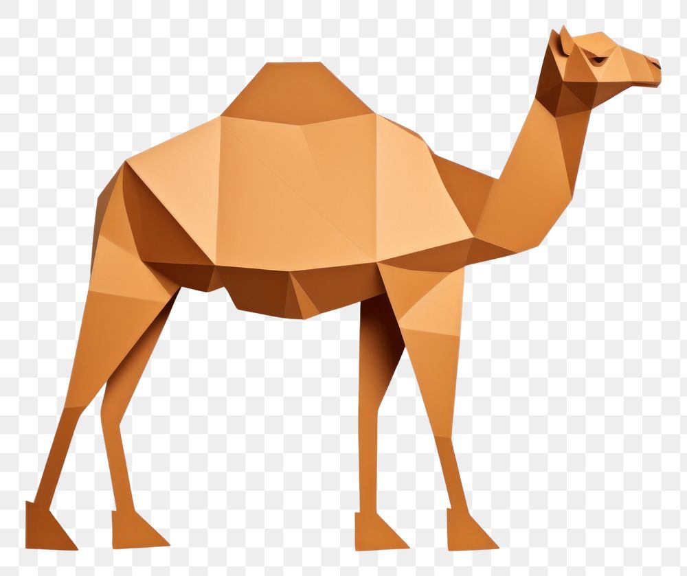PNG Camel animal mammal paper.