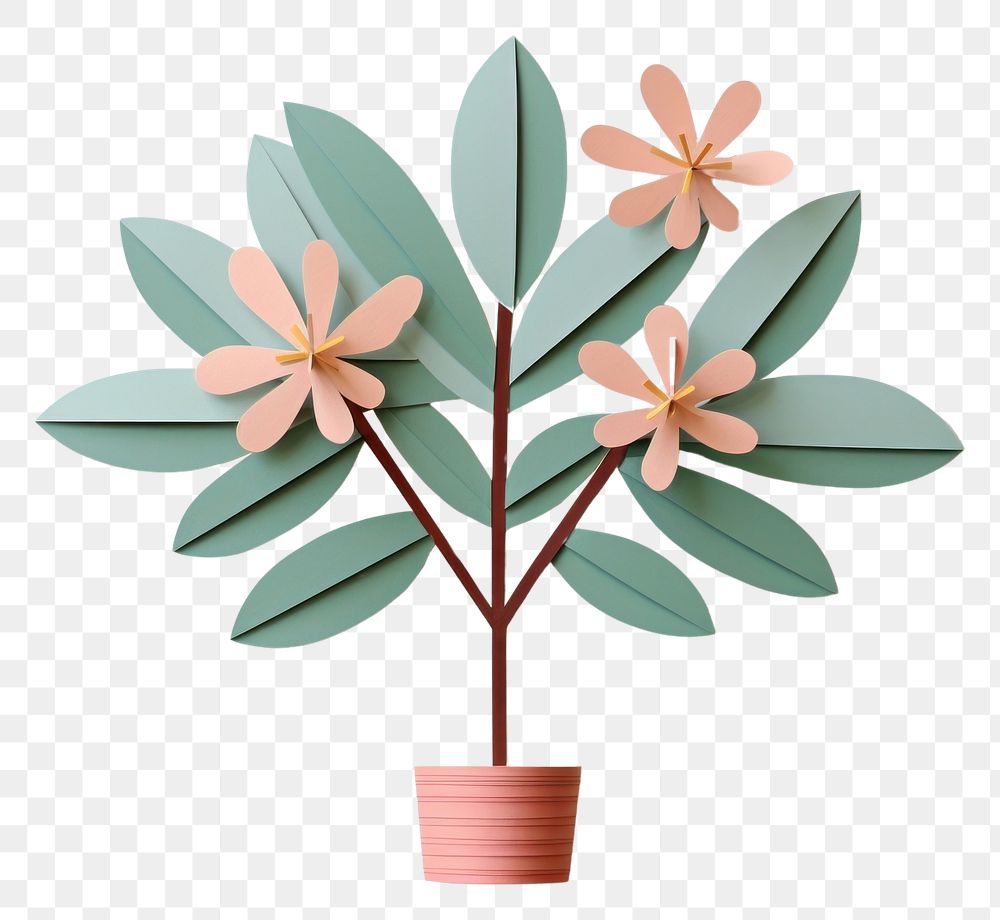 PNG Indoor plant flower paper leaf