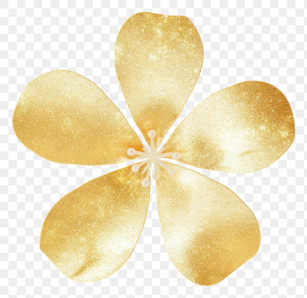 PNG Gold flower icon shape petal white background.