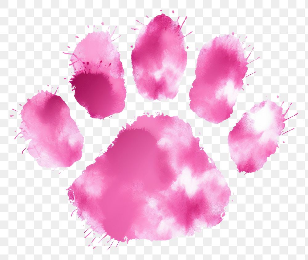 PNG Bear paw print petal pink white background.