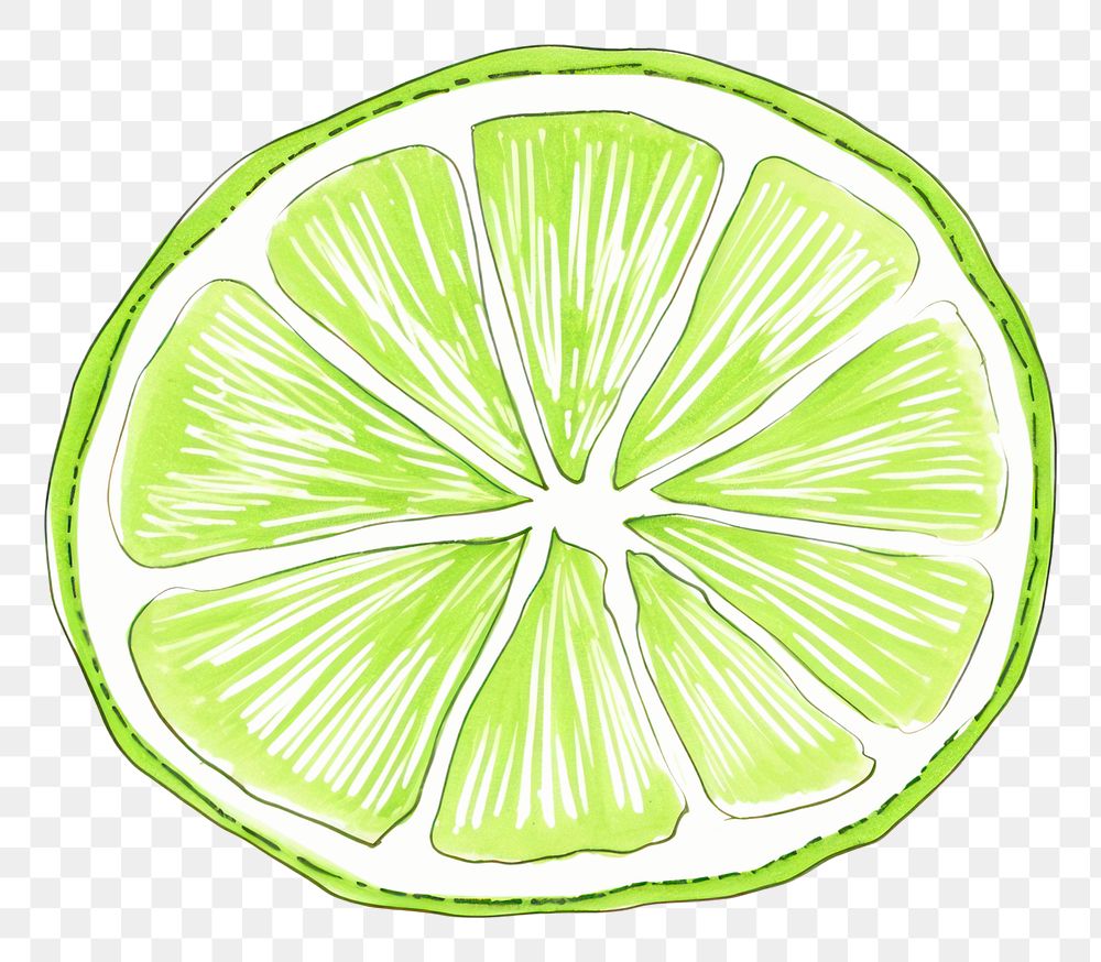 PNG Lime drawing fruit line.
