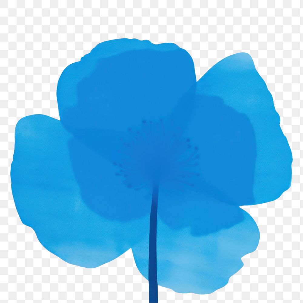 PNG Blue flower nature petal plant.