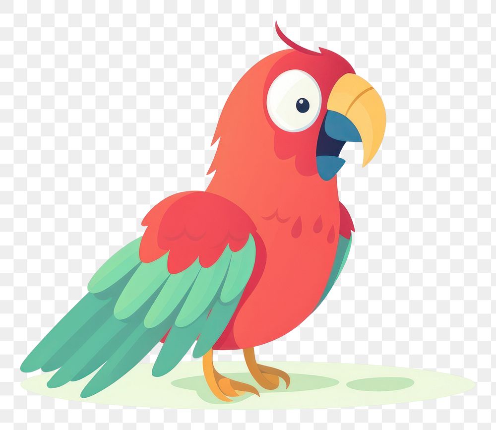 PNG Parrot animal bird beak.