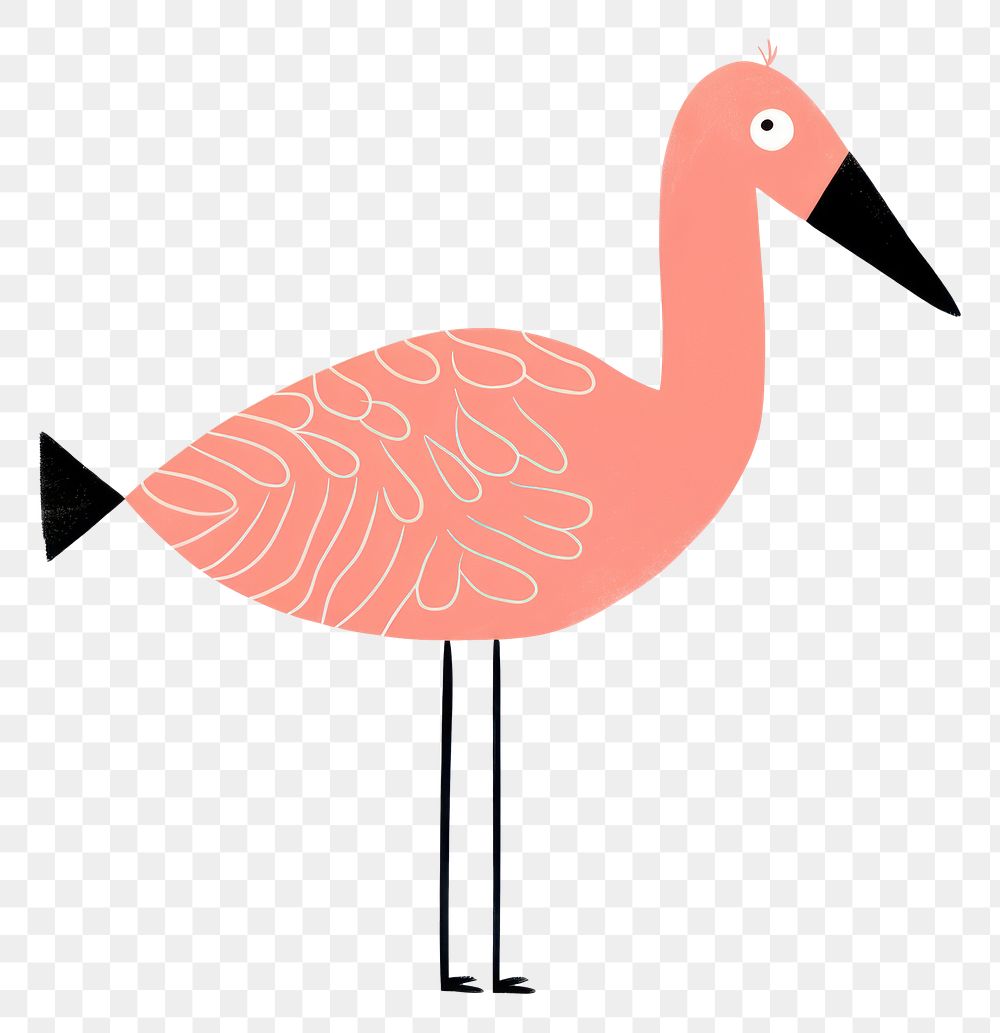 PNG Safari Flamingo flamingo animal bird.