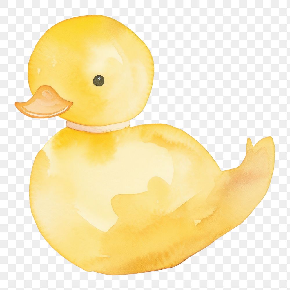 PNG Animal duck bird representation.