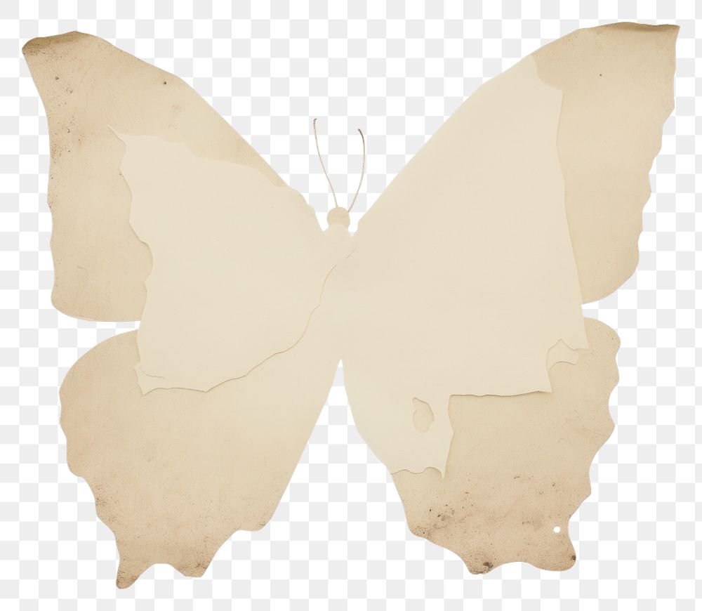 PNG Butterfly shape ripped paper white white background accessories.