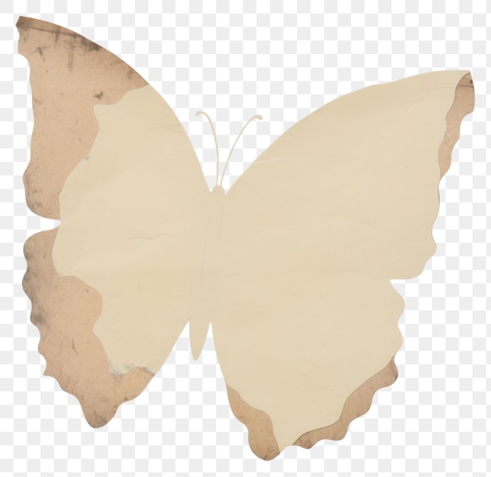 PNG Butterfly shape ripped paper leaf white background wildlife.
