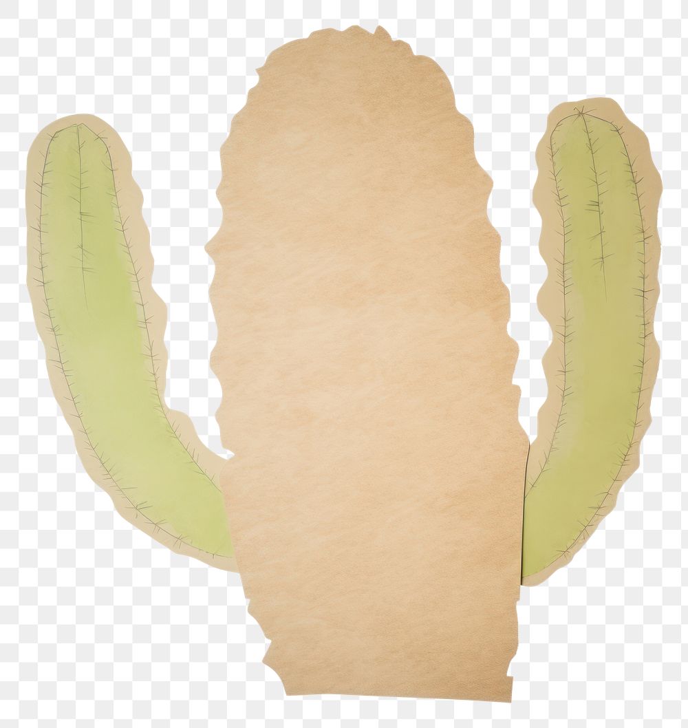 PNG Cactus shape ripped paper plant white background yellow.