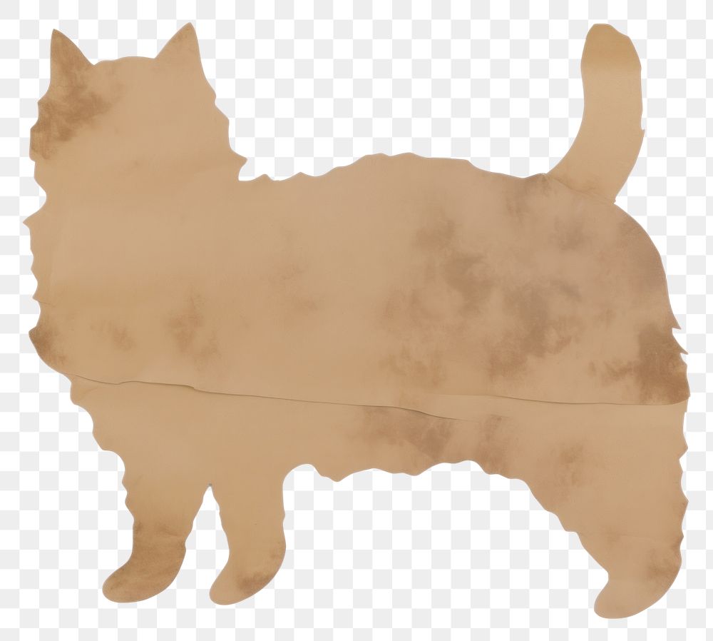 PNG Cat shape ripped paper animal mammal pet.