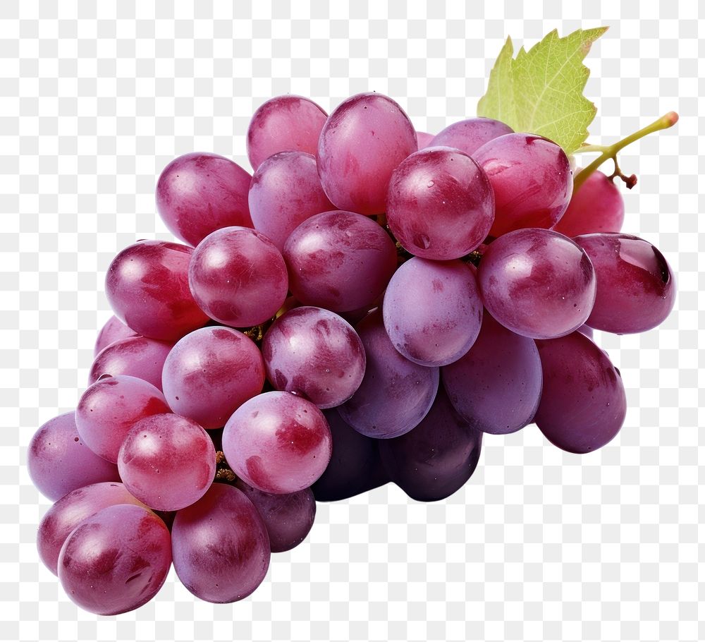 PNG Photo of grapes fruit plant food.
