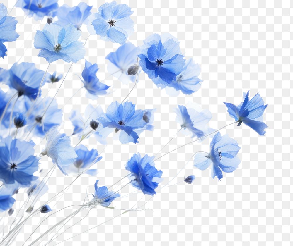PNG Blue flowers backgrounds nature petal.