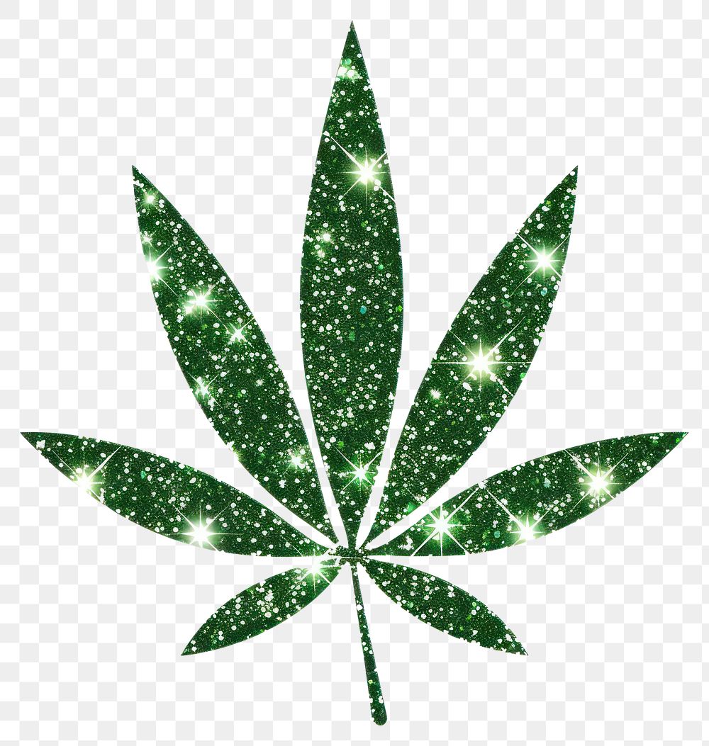 PNG Cannabis leaf icon shape plant green.