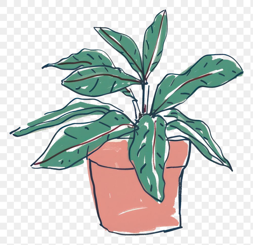PNG Houseplant leaf creativity flowerpot.