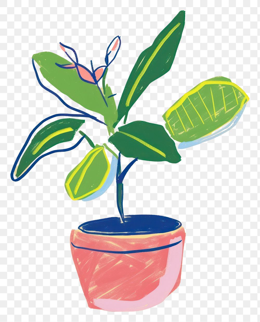 PNG Houseplant leaf pot creativity.
