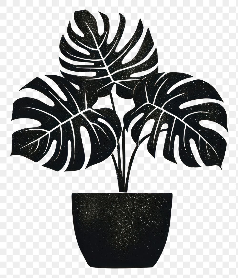 PNG Silkscreen of monstera plant nature leaf.