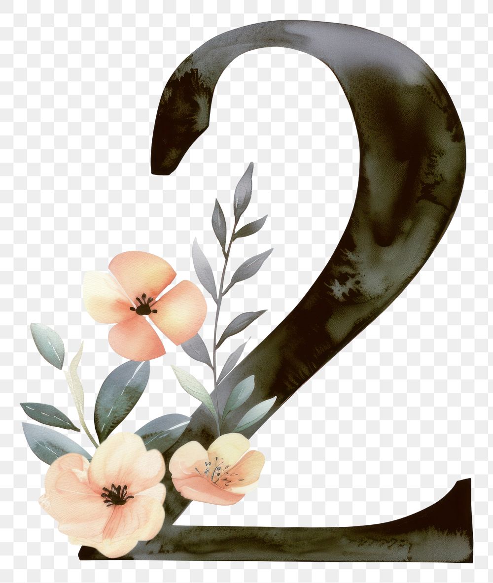 PNG Flower number plant font