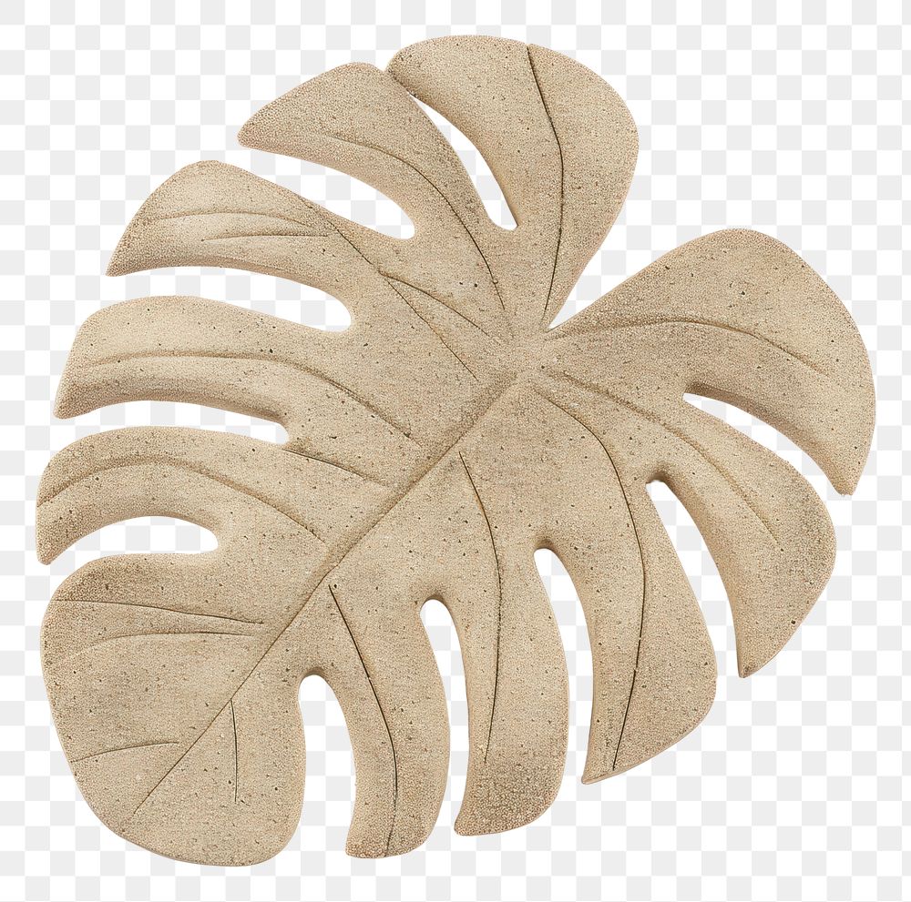 PNG Plant leaf accessory pattern.