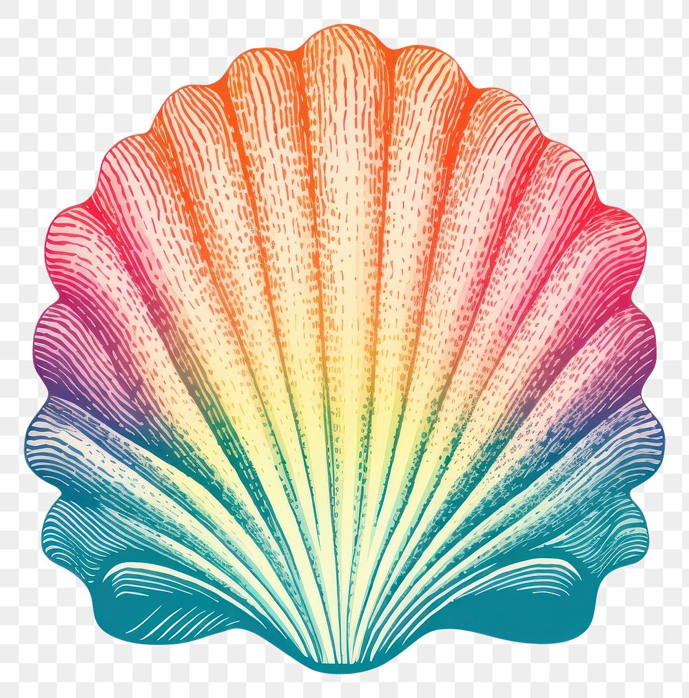 PNG Invertebrate creativity seashell pattern.