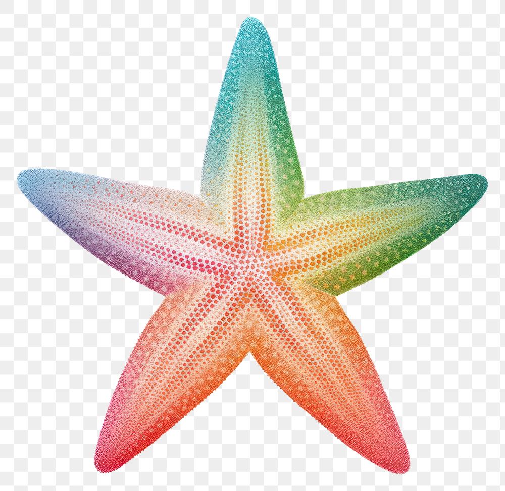 PNG Starfish invertebrate echinoderm pattern.