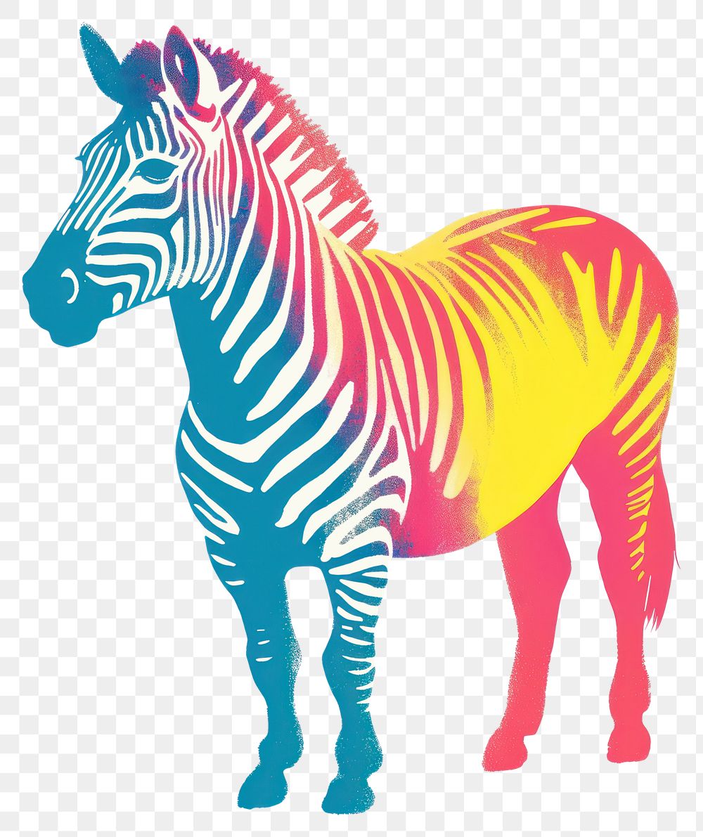 PNG Animal mammal zebra horse.