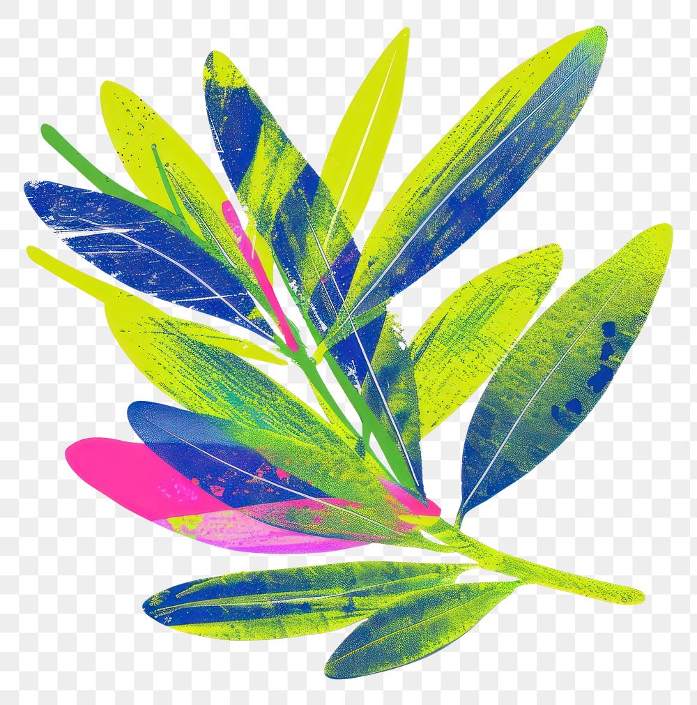 PNG Plant leaf annonaceae freshness