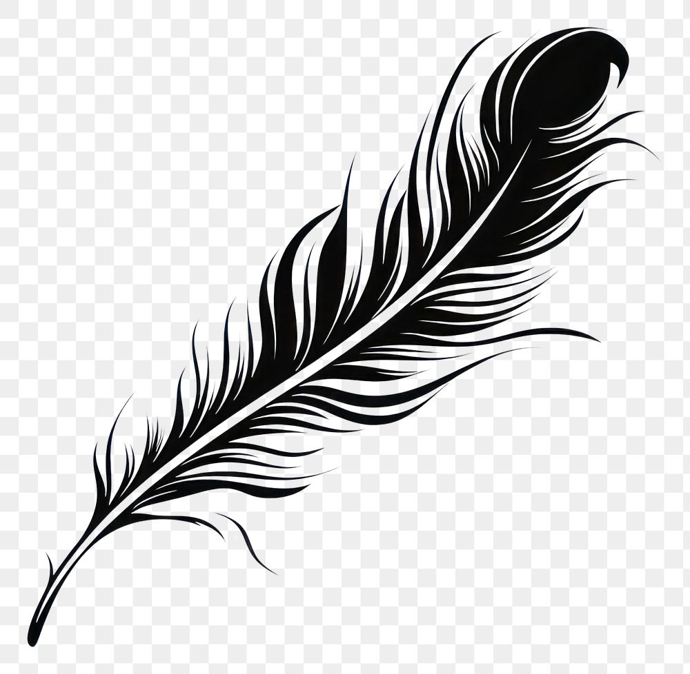 PNG Feather drawing sketch black.
