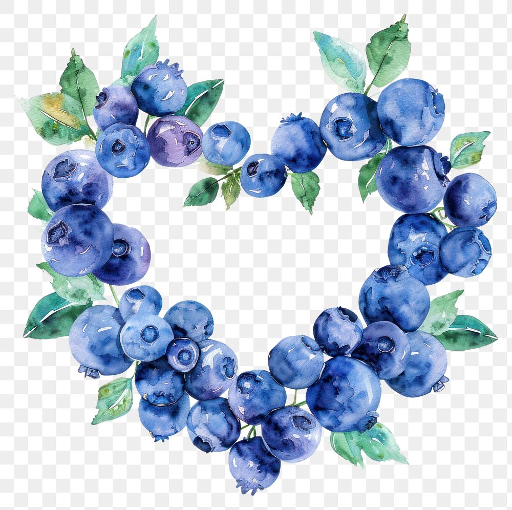 PNG Blueberry border watercolor wreath fruit plant.