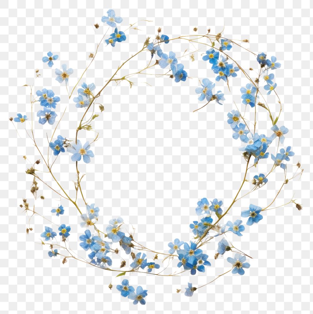 PNG Real pressed forget me not flowers jewelry pattern circle.