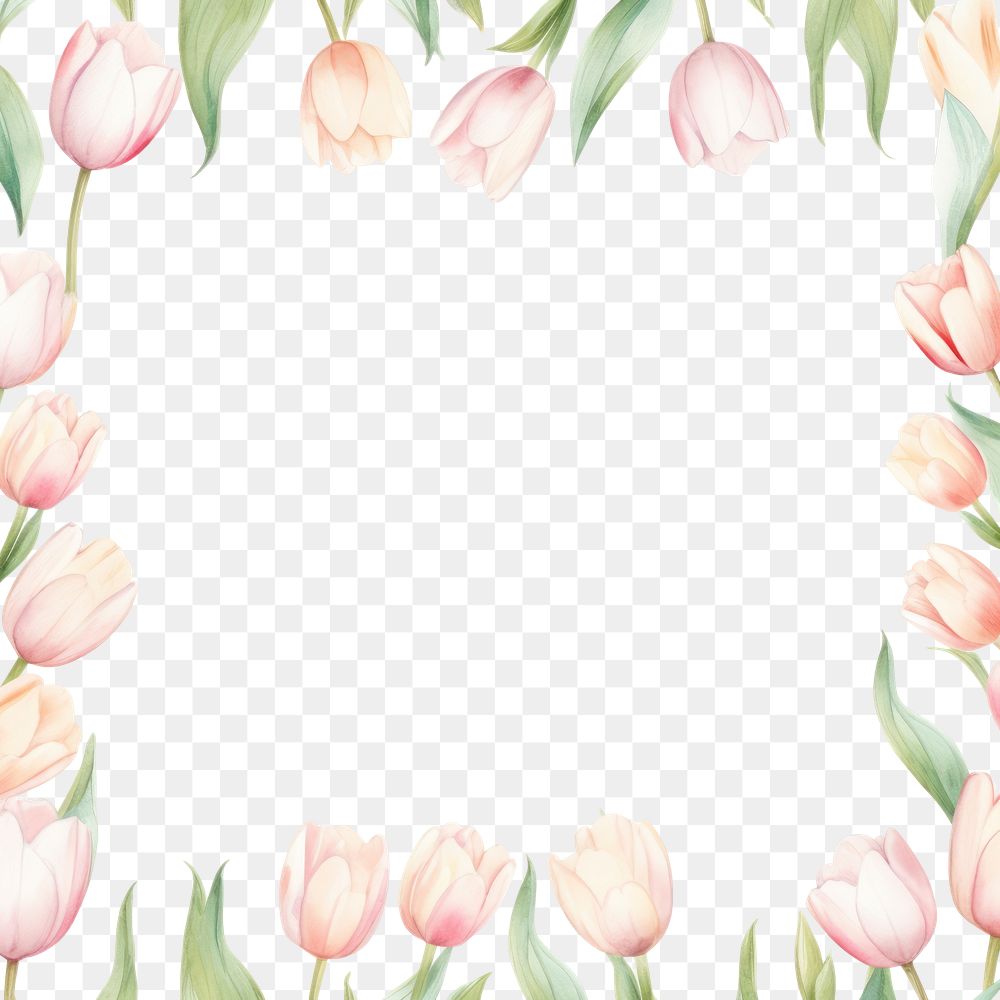 PNG Little white tulip square border pattern backgrounds flower.