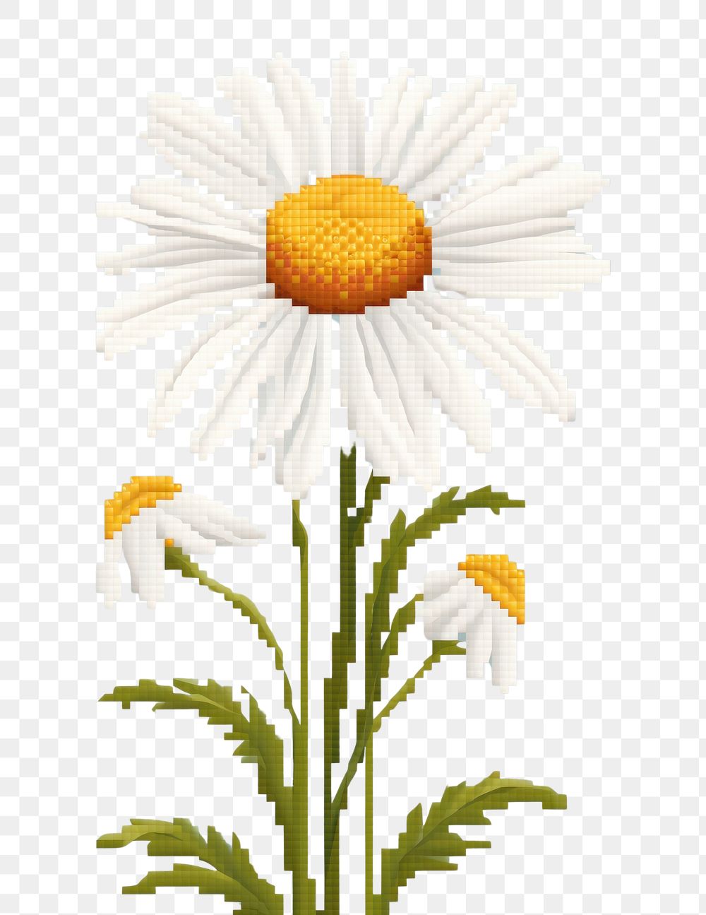Cross stitch chamomile flower daisy plant.