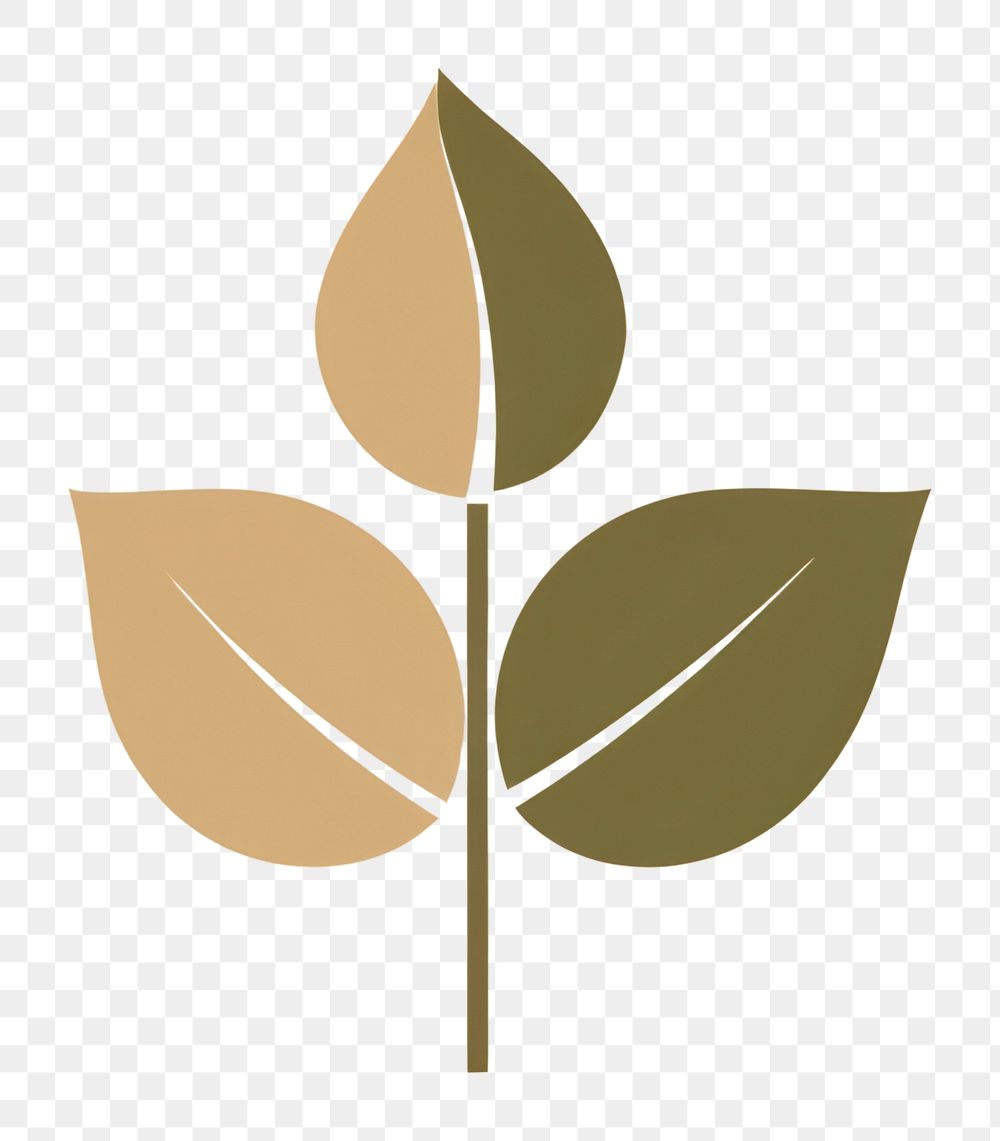 Plant leaf growth herbal.