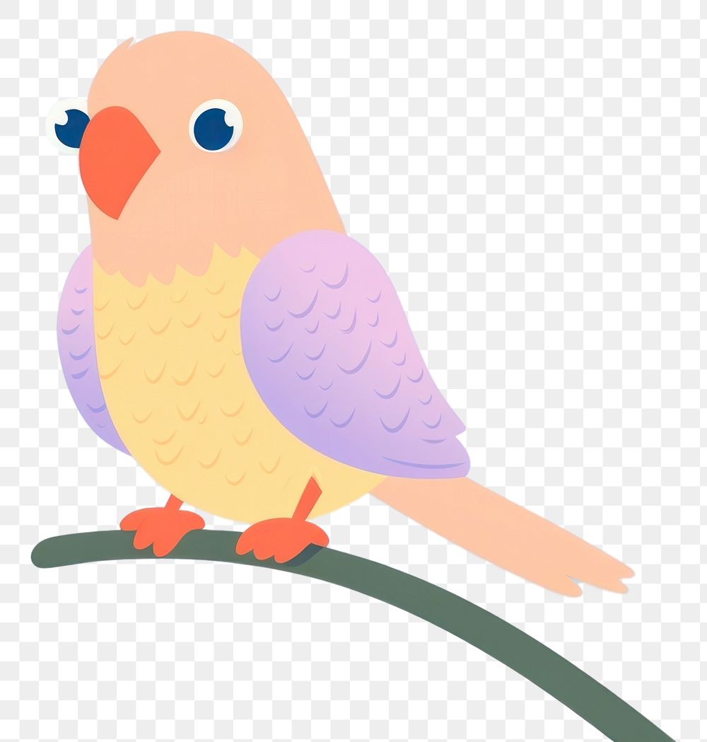 PNG Animal parrot bird lovebird.