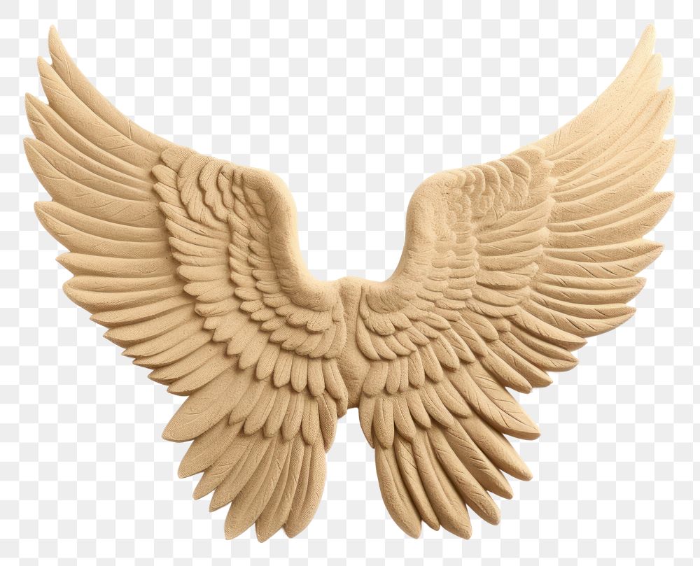 PNG  Sand Sculpture angle wings bird art white background.