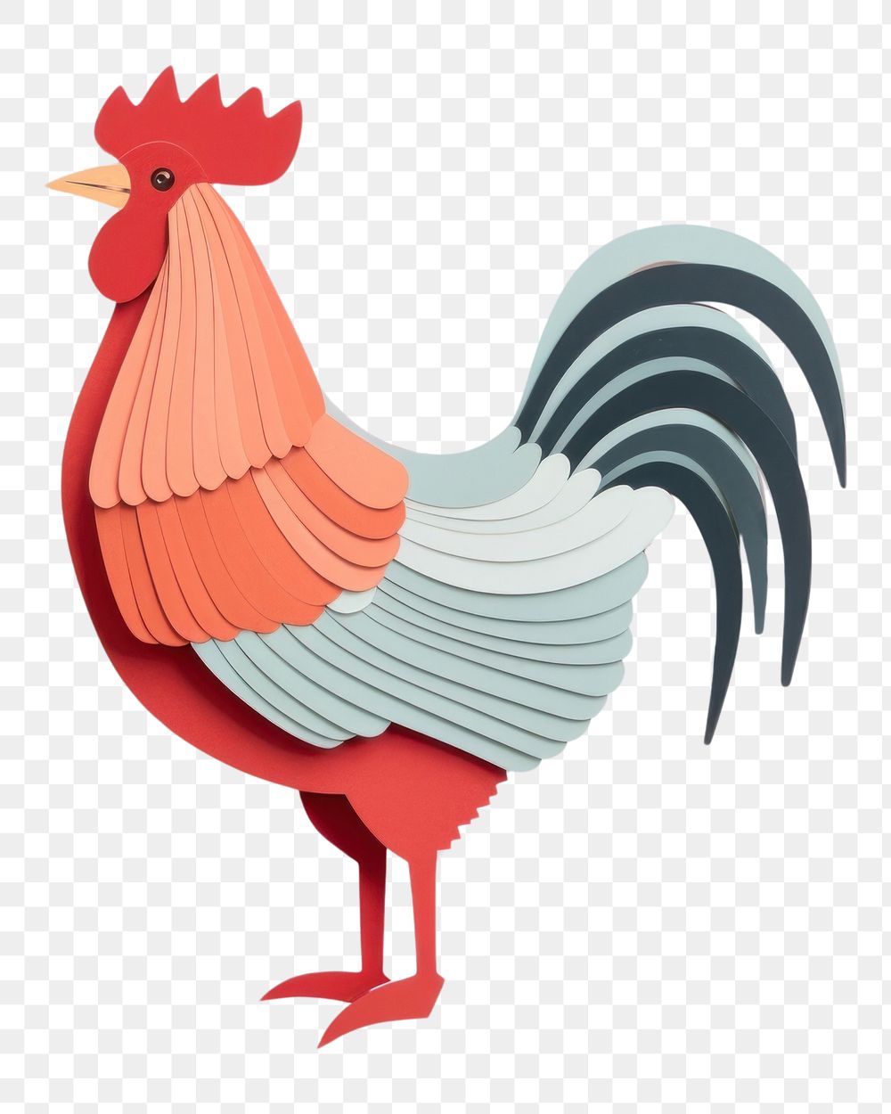 PNG Chicken poultry animal bird.