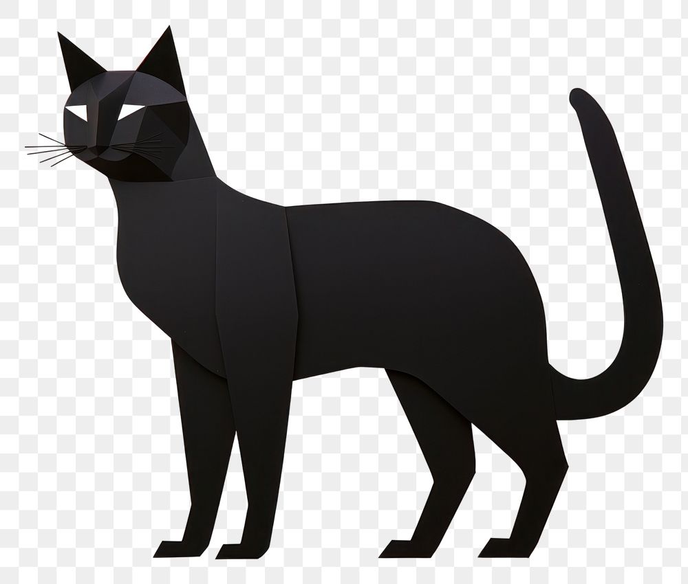 PNG Black cat animal mammal pet.
