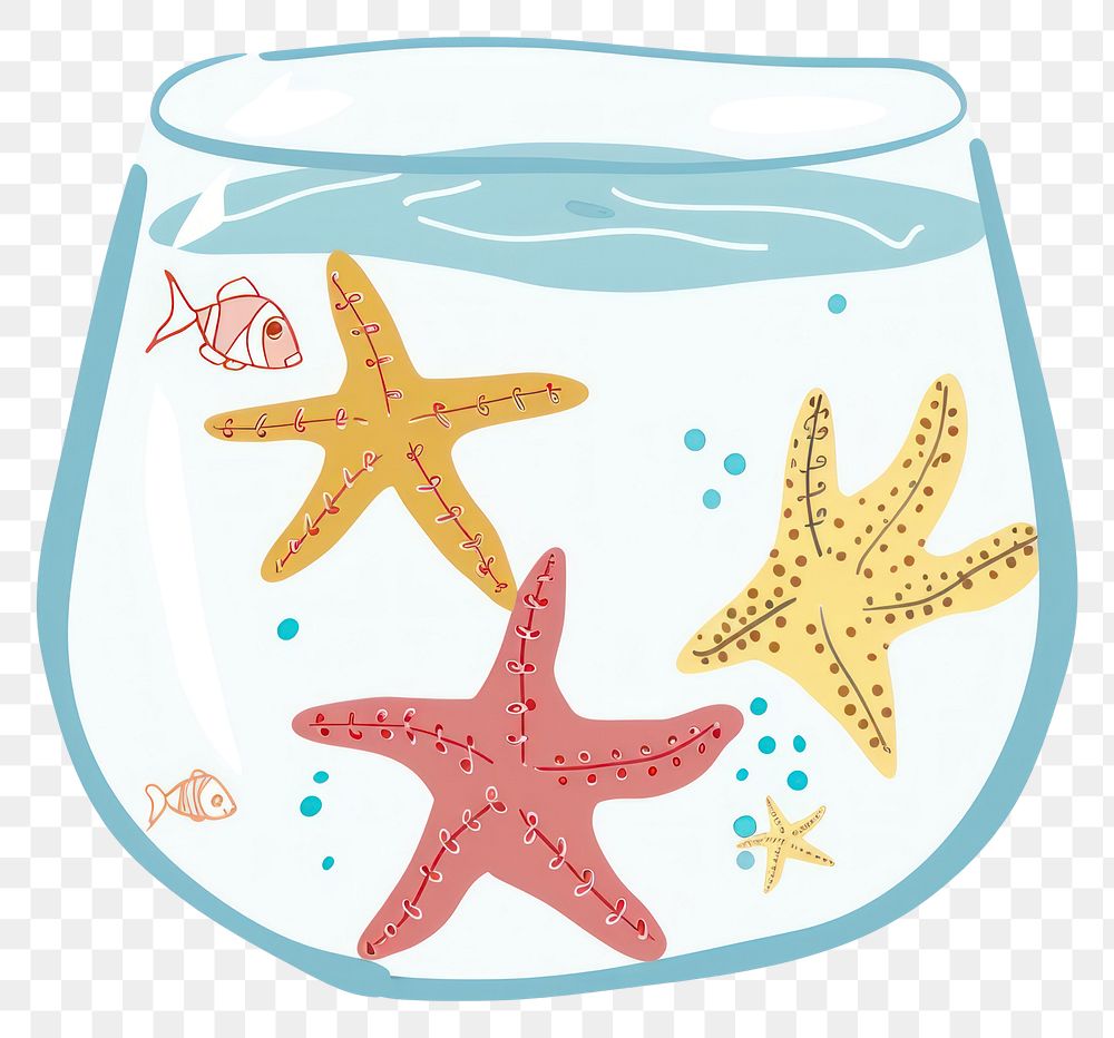 PNG Starfish in aquarium invertebrate transparent echinoderm.