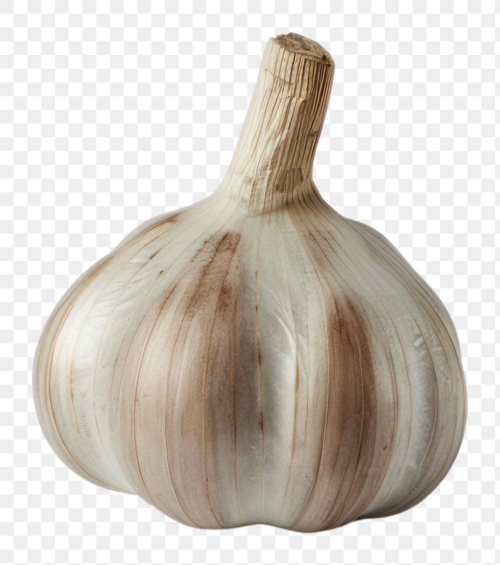 PNG Garlic garlic vegetable plant.