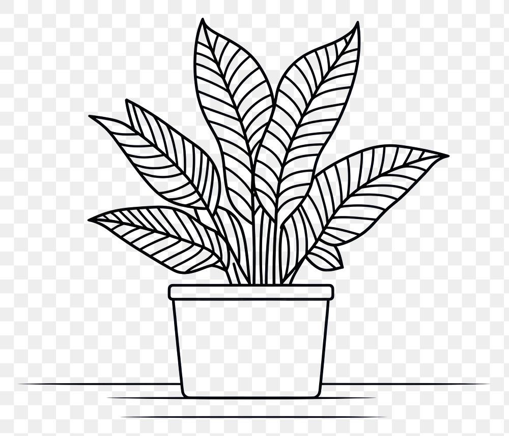 PNG Plant sketch drawing line.