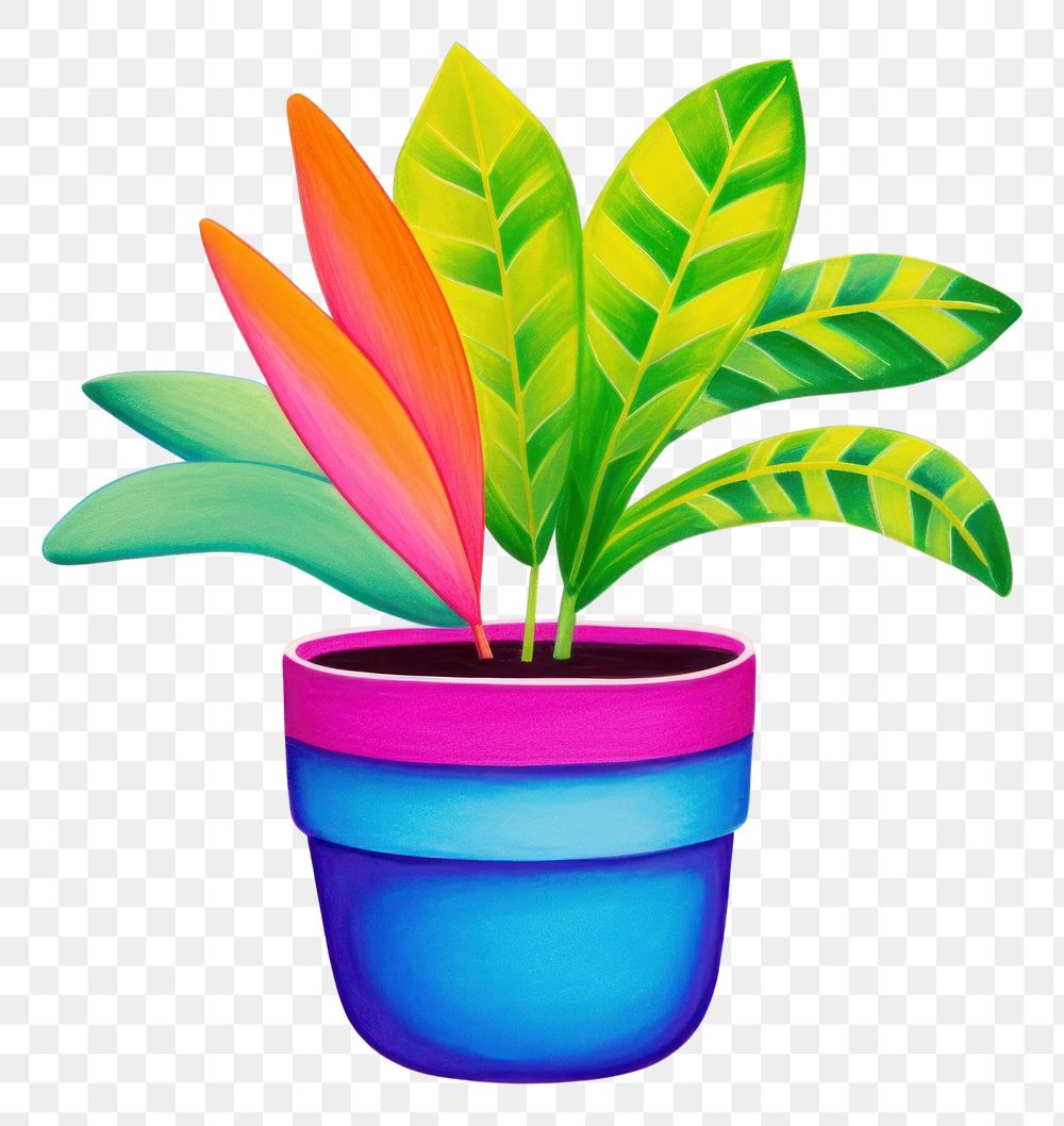 PNG Plant pot leaf creativity houseplant.