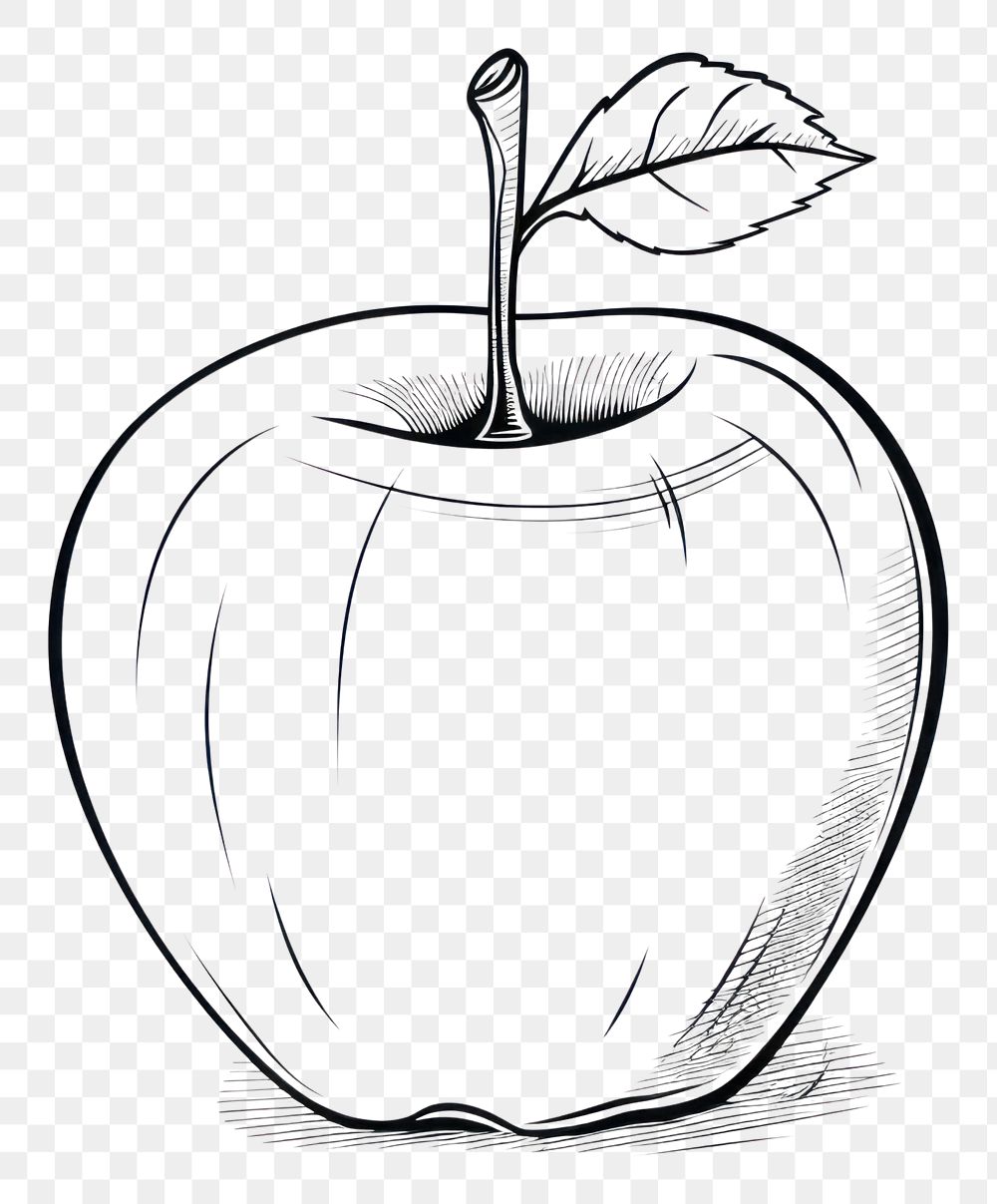 PNG Apple sketch drawing fruit.