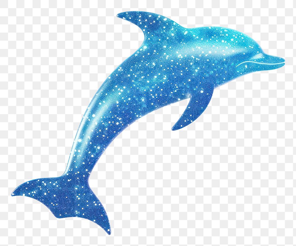 PNG Blue color dolphin icon animal mammal fish.